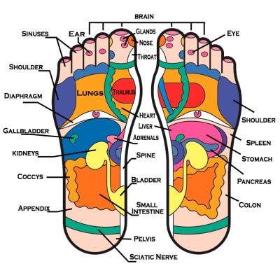 Reflexology image 